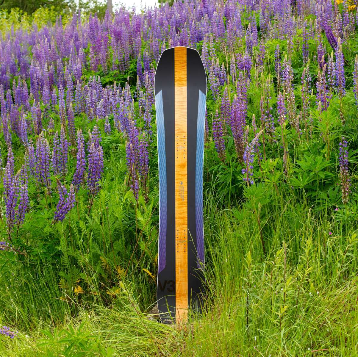 Arbor Annex Bi Camber Snowboard 2023 - Image 4