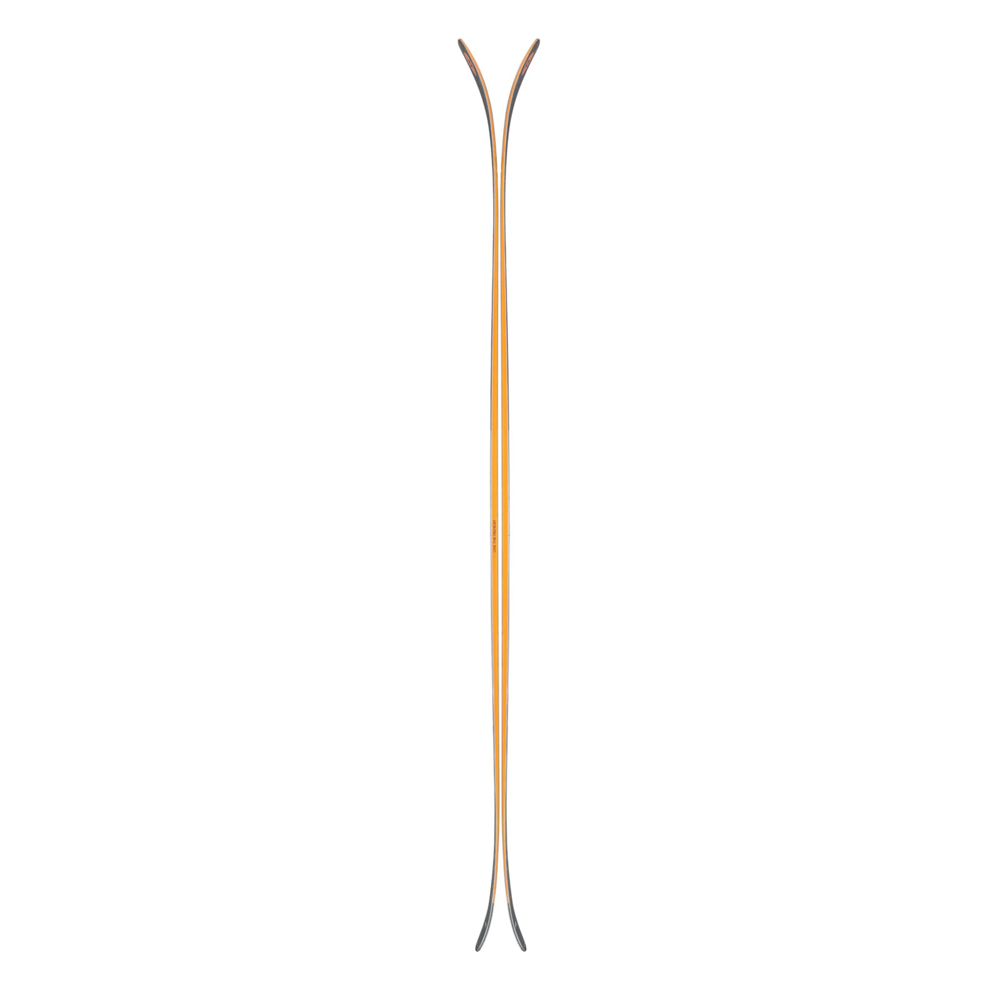 Blizzard Rustler 10 Skis 2025 - Image 4
